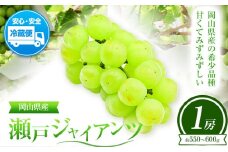 ぶどう 葡萄 岡山県産 瀬戸ジャイアンツ 1房 (約550g~600g) 佐々木農園《8月中旬-9月末頃出荷》岡山県 笠岡市 送料無料 マスカット フルーツ 果物 ブドウ 瀬戸 ジャイアンツ 希少品種 お取り寄せフルーツ【配送不可地域あり】 st-p