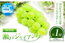 ぶどう 葡萄 岡山県産 瀬戸ジャイアンツ 大1房 (約750g以上) 佐々木農園《8月中旬-9月末頃出荷》岡山県 笠岡市 送料無料 マスカット フルーツ 果物 ブドウ 瀬戸 ジャイアンツ 希少品種 お取り寄せフルーツ【配送不可地域あり】 st-p