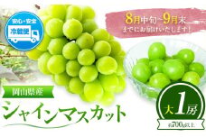 ぶどう 葡萄 岡山県産 シャインマスカット 大1房 (約700g以上) 佐々木農園《8月中旬-9月末頃出荷》岡山県 笠岡市 送料無料 マスカット フルーツ 果物 ブドウ お取り寄せフルーツ【配送不可地域あり】 st-p