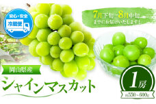 ぶどう 葡萄 岡山県産 シャインマスカット 1房 (約550g～600g) 佐々木農園《7月下旬-8月中旬頃出荷》岡山県 笠岡市 送料無料 マスカット フルーツ 果物 ブドウ お取り寄せフルーツ【配送不可地域あり】 st-p
