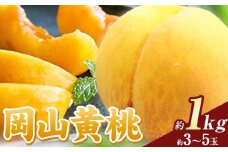 桃 岡山の桃 黄桃 約1kg《8月下旬-9月下旬頃出荷》 ご家庭用 訳あり 岡山 旬 モモ もも 先行予約 送料無料 果物 岡山県 笠岡市 クール便