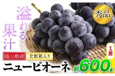 岡山県産 ニューピオーネ 約600g 1房《9月中旬-11月上旬頃出荷(土日祝除く)》岡山県 笠岡市 葡萄 果物 秀品 スイーツ フルーツ デザート 秋旬