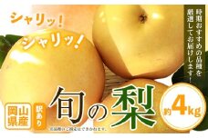 【先行予約】訳あり 旬の梨 約4kg 3-10玉前後 岡山県産 梨 訳あり 新高 愛宕 王秋梨 鴨梨 岡山 笠岡市《9月上旬-1月末頃に出荷予定》数量限定 梨 なし ナシ