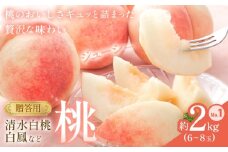 桃 贈答用 no.1 約2kg 6~8玉 清水白桃や白鳳など 小寺壽夫《7月中旬-9月上旬頃出荷》岡山県 笠岡市 岡山県産 もも 桃 モモ 白桃 果物 フルーツ 白鳳 清水白桃 岡山夢白桃 白皇 白麗 白露 ギフト 贈答