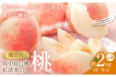 桃 贈答用 no.2 約2kg 6~9玉 川中島白桃や紅清水など 小寺壽夫《7月中旬-8月中旬頃出荷》岡山県 笠岡市 岡山県産 もも 桃 モモ 白桃 果物 フルーツ 加納岩 紅清水 川中島白桃 なつおとめ 浅間白桃 ギフト 贈答