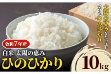 【令和7年産 予約受付】 岡山県産 ひのひかり 笠岡産 10kg 太陽の恵み （白米） st-p