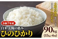 【令和7年産】 岡山県産 ひのひかり 笠岡産 15kg×6回（計90kg） 太陽の恵み （白米） st-p