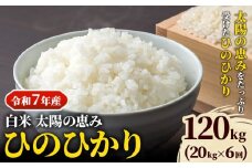 【令和7年産】 岡山県産 ひのひかり 笠岡産 20kg×6回（計120kg） 太陽の恵み （白米） st-p