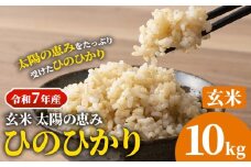 【令和7年産 予約受付】 岡山県産 ひのひかり 笠岡産 10kg 太陽の恵み （玄米） st-p