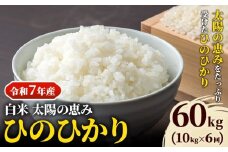 【令和7年産】 岡山県産 ひのひかり 笠岡産 10kg×6回（計60kg） 太陽の恵み （白米） st-p