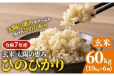 【令和7年産】 岡山県産 ひのひかり 笠岡産 10kg×6回（計60kg） 太陽の恵み （玄米） st-p