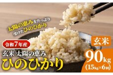 【令和7年産】 岡山県産 ひのひかり 笠岡産 15kg×6回（計90kg） 太陽の恵み （玄米） st-p
