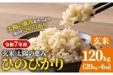 【令和7年産】 岡山県産 ひのひかり 笠岡産 20kg×6回（計120kg） 太陽の恵み （玄米） st-p
