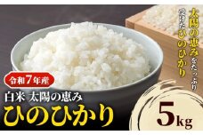【令和7年産】岡山県産 ひのひかり 5kg 太陽の恵み 白米 奥山営農《10月下旬頃出荷》岡山県 笠岡市 送料無料 米 お米 こめ