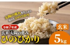 【令和7年産】岡山県産 ひのひかり 5kg 太陽の恵み 玄米 奥山営農《10月下旬頃出荷》岡山県 笠岡市 送料無料 米 お米 こめ