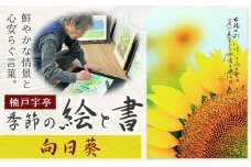 絵 書 書道 アート 季節の絵と書 向日葵 楠戸宇亭《90日以内に出荷予定(土日祝除く)》岡山県 笠岡市 送料無料 美術 作品 日本画 絵 インテリア