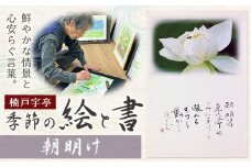 絵 書 書道 アート 季節の絵と書 朝明け 楠戸宇亭《90日以内に出荷予定(土日祝除く)》岡山県 笠岡市 送料無料 美術 作品 日本画 絵 インテリア