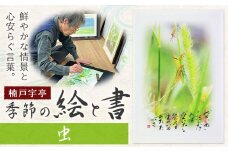絵 書 書道 アート 季節の絵と書 虫 楠戸宇亭《90日以内に出荷予定(土日祝除く)》岡山県 笠岡市 送料無料 美術 作品 日本画 絵 インテリア