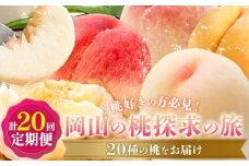 【2026年発送先行予約】桃 5ヶ月 計20回 定期便 岡山 の 桃 探求の旅 20種 各1kg 計20kg 晴れの国おかやま館(漂流岡山)《2026年7月中旬-12月中旬頃出荷》岡山県 笠岡市 桃 もも 果物 フルーツ デザート 送料無料 【配送不可地域あり】（離島）