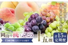 【2026年発送先行予約】 桃 ぶどう 6ヶ月 計15回 定期便 岡山 の 桃 と ぶどう 十5撰 10種 計12.9kg 晴れの国おかやま館(漂流岡山)《2026年7月中旬-12月中旬頃出荷》岡山県 笠岡市 もも 桃 ぶどう マスカット 果物 フルーツ 【配送不可地域あり】（離島）
