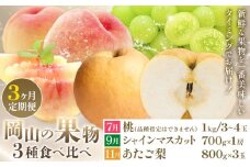 【2026年発送先行予約】ぶどう 桃 梨 3ヶ月 定期便 岡山 の 果物 3種 食べ比べ 計4.1kg 晴れの国おかやま館(漂流岡山)《2026年7月上旬-11月下旬頃出荷》岡山県 笠岡市 桃 もも マスカット シャインマスカット 梨 あたご梨 果物【配送不可地域あり】（離島）