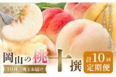 【2026年発送先行予約】桃 3ヶ月 計10回 定期便 岡山 の 桃 十撰 10種 各1kg 計10kg 晴れの国おかやま館(漂流岡山)《2026年7月中旬-9月下旬頃出荷》岡山県 笠岡市 桃 もも 果物 フルーツ デザート 送料無料 【配送不可地域あり】（離島）