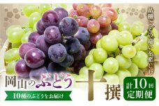 【2026年発送先行予約】ぶどう 4ヶ月 計10回 定期便 岡山 の ぶどう 十撰 10種 各700g 計7kg 晴れの国おかやま館(漂流岡山)《2026年8月上旬-11月下旬頃出荷》岡山県 笠岡市 ぶどう マスカット 果物 フルーツ デザート 送料無料 【配送不可地域あり】（離島）