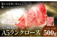 奈義和牛 A5ランクロース バイヤーおすすめ！ しゃぶしゃぶ用 500g 株式会社 天満屋《30日以内に出荷予定(土日祝除く》岡山県 笠岡市 和牛 牛肉 肉 A5ランク しゃぶしゃぶ 送料無料