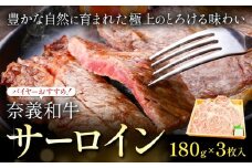 奈義和牛 サーロイン バイヤーおすすめ！ 180g × 3枚 株式会社 天満屋《30日以内に出荷予定(土日祝除く》岡山県 笠岡市 和牛 牛肉 肉 ステーキ 自宅用 贈答用 送料無料