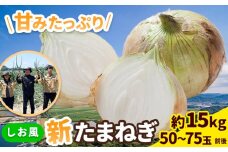 新玉ねぎ【2026年先行予約】 しお風新たまねぎ 約15kg 《5月中旬-6月上旬頃出荷》 玉ねぎ 新たまねぎ 玉葱 たまねぎ 新玉 野菜 青果物 岡山県 笠岡市