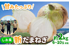 新玉ねぎ【2026年先行予約】 しお風新たまねぎ 約2kg 《5月中旬-6月上旬頃出荷》 玉ねぎ 新たまねぎ 玉葱 たまねぎ 新玉 野菜 青果物 岡山県 笠岡市 5000円以下 5000円以内 10000円以下 10000円以内