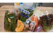 A-37　星の郷野菜セット