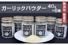 A-45ガーリックパウダー40g×6個