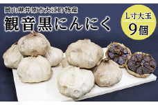 B-05観音黒にんにく(L寸大玉)9個