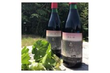 E-17 美星町産ワイン　赤ワイン２本セット　嘉作