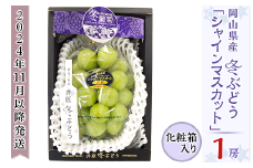 岡山県産冬ぶどう「シャインマスカット」1房（約800g）化粧箱入【2024年11月以降発送】（いばら愛菜館）