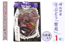 岡山県産冬ぶどう「紫苑」1房（約800g）化粧箱入【2024年11月以降発送】（いばら愛菜館）