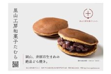 たむらのみかさ（どら焼き）10個入