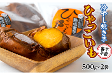 【早雲蜜芋】冷やし焼き芋「ひゃっこいも」500g×2袋
