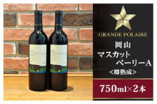 グランポレール岡山マスカットベーリーＡ＜樽熟成＞750ml×2本
