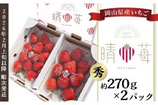 岡山県産いちご「晴苺」秀【2026年2月上旬以降順次発送】