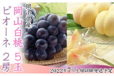 74-06岡山白桃5玉＋ピオーネ2房の詰合せ