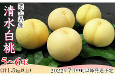74-04岡山清水白桃5玉～7玉（1.5kg以上）