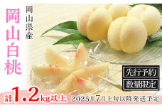 74-03 白桃5～6玉（1.2kg以上）【2025年7月上旬～8月上旬頃発送予定】