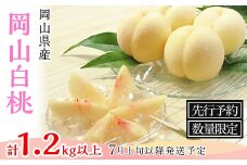 74-03 白桃5～6玉（1.2kg以上）【2026年7月上旬～8月上旬頃発送予定】