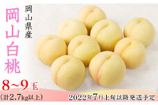 74-01岡山白桃8～9玉（2.7kg以上）