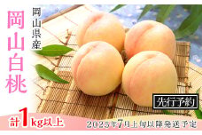 74-09 白桃4玉（1kg以上）【2025年7月上旬～8月上旬頃発送予定】