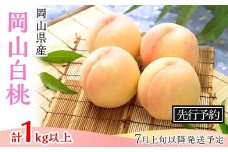 74-09 白桃4～5玉（1kg以上）【2026年7月上旬～8月上旬頃発送予定】
