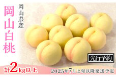 74-10 白桃8～10玉（2kg以上）【2025年7月上旬～8月上旬頃発送予定】