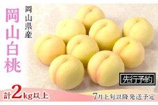 74-10 白桃8～10玉（2kg以上）【2026年7月上旬～8月上旬頃発送予定】